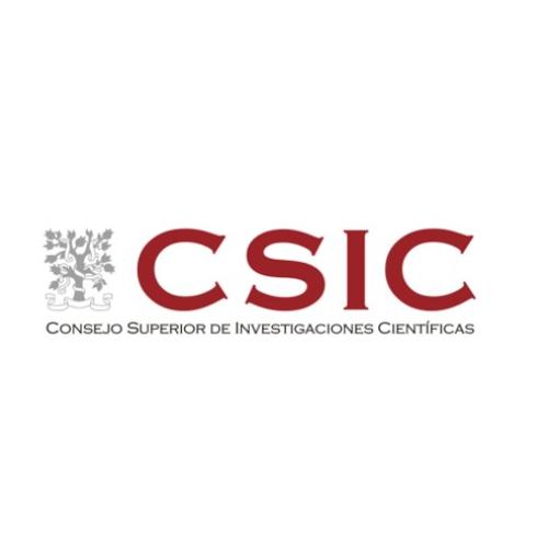 CSIC logo