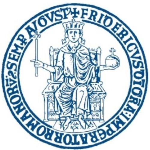 Università degli Studi di Napoli Federico II