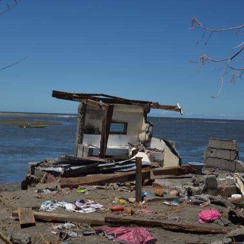 Joint Hybrid-Workshop on Local Tsunami Warning