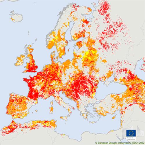 International Day for Disaster Risk Management.