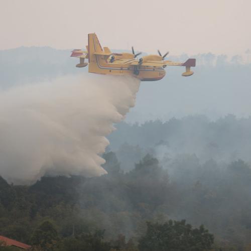 A yellow forest fire fighting plane discharges water over a forested area