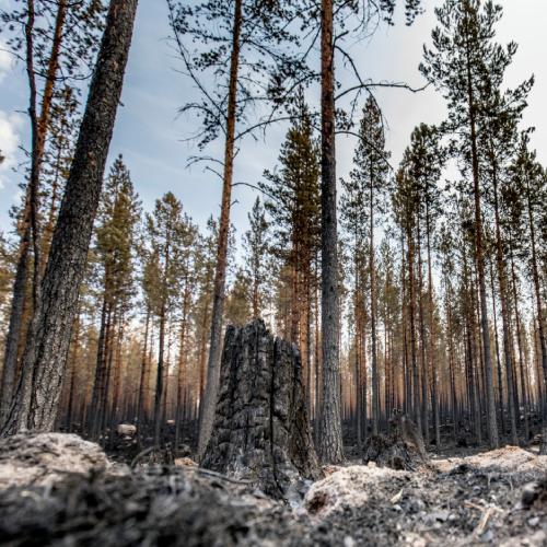 Technical Expert Forum 2022 - UNDRR