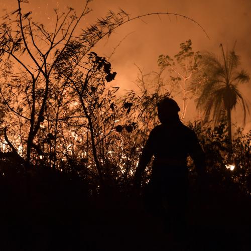 Forest fire