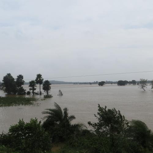 India Assessing the impact of Cyclone Phailin