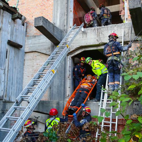 SIQUAKE information day