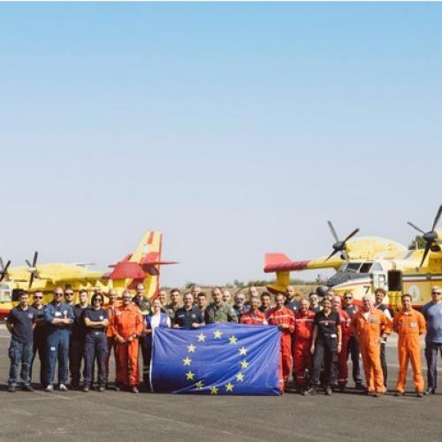 Cross-border resilience and crisis management study