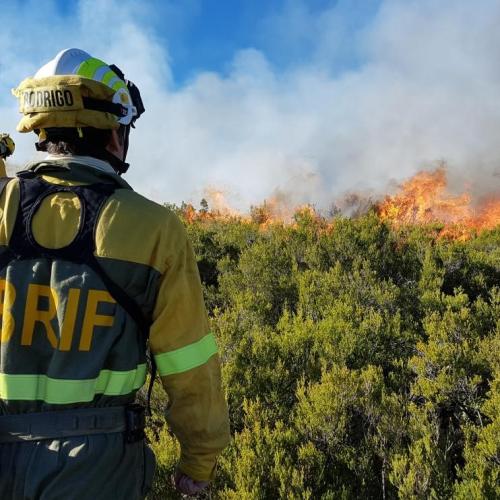 UCPM Peer Review Programme