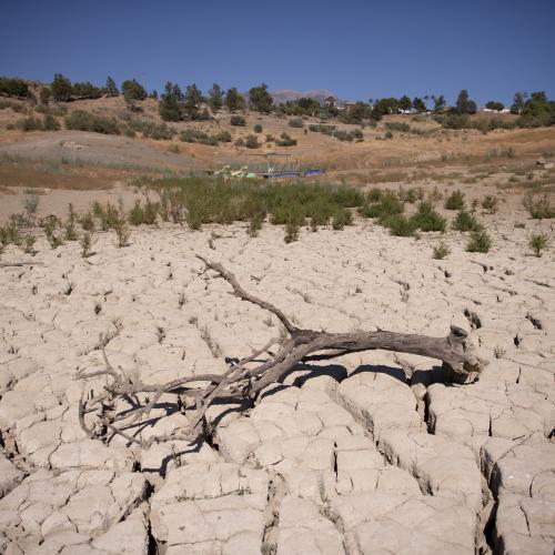 A dead tree branch lies on a dried-up river bed.
