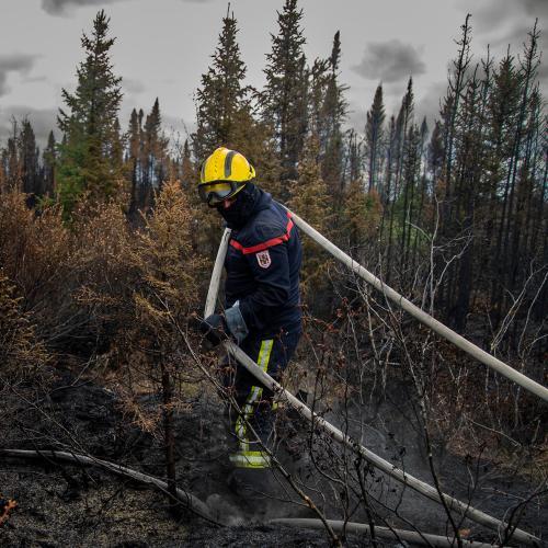 Canada - EU response to wildfires