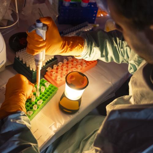 An expert working in a laboratory
