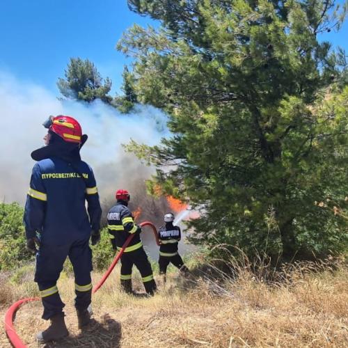 Romanian firefighters during a forest fire in Porto Germano