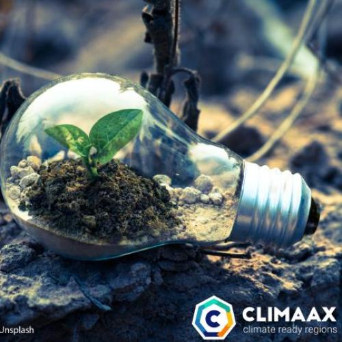 Lightbulb and CLIMAAX logo