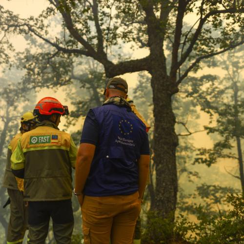 Spanish Forest Fire-Fighting Assessment and Advisory Team (FAST) 