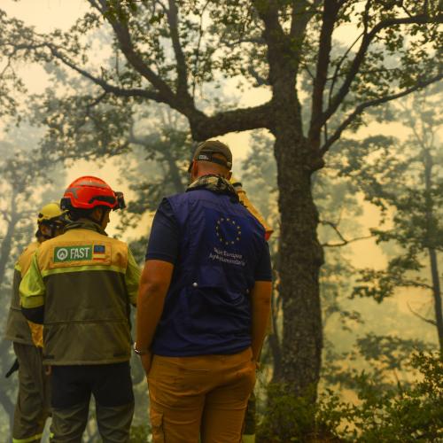Spanish Forest Fire-Fighting Assessment and Advisory Team (FAST)