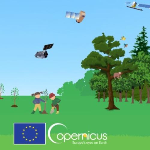 Graphic design of the Workshop on Copernicus for Forestry