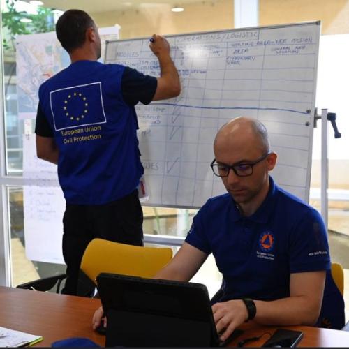 Civil Protection experts during a training session (FSX DOMINO 2022)