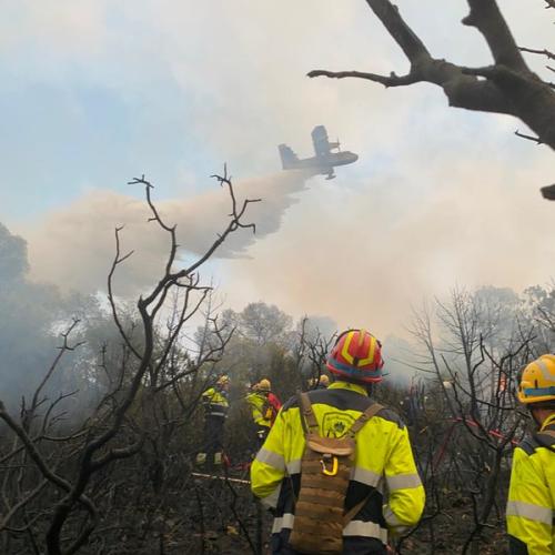 Norwegian firefighters part of GFFF. 