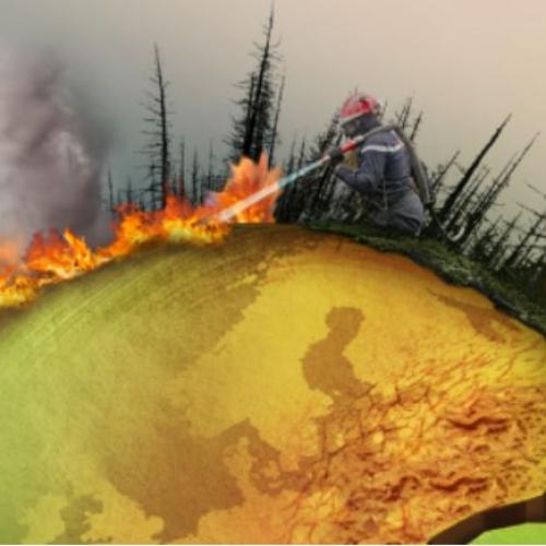 Graph provided by the World Bank showcasing a firefighter. 