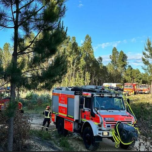 In the foreground two fire trucks are parked in a vegetated area. Fire fighters are walking among them. In the background more vehicles are parked.