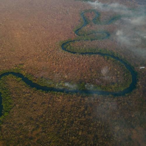 Central America as a whole has seen record levels of wildfires this year, compounded by a fierce El Niño phenomenon and failing rains.