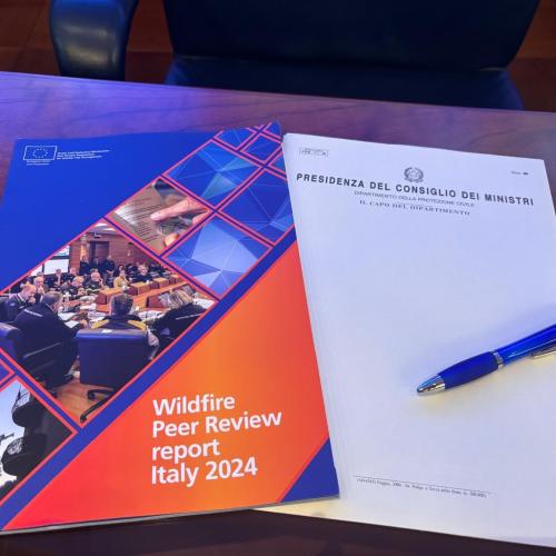 Wildfire Peer Review Report Italy 2024.