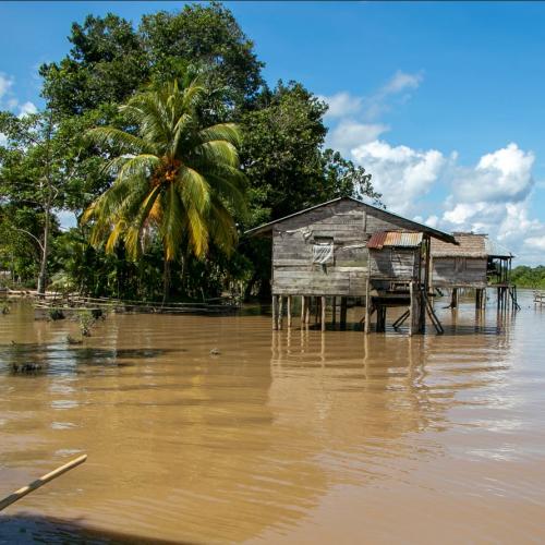 A cabin during a flood in Mauritania.