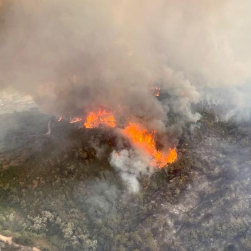 In July, wildfires also affected several regions of Portugal.  When Portugal requested assistance on 9 July, the EU swiftly dispatched 4 firefighting airplanes from its rescEU fleet.