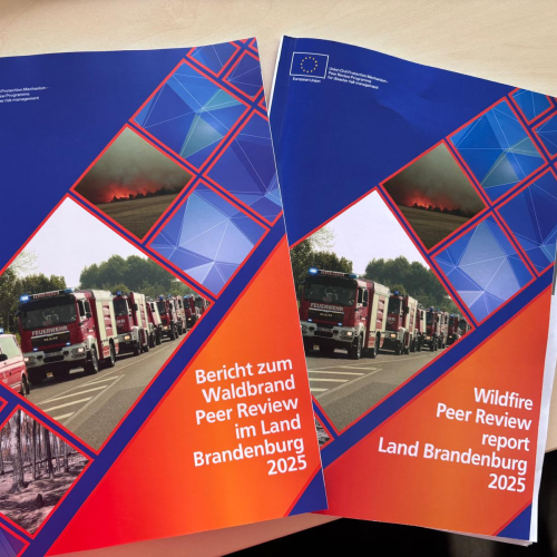 Two paper copies of the Wildfire Peer Review for Land Brandenburg can be seen. One is in English, the other in German. 