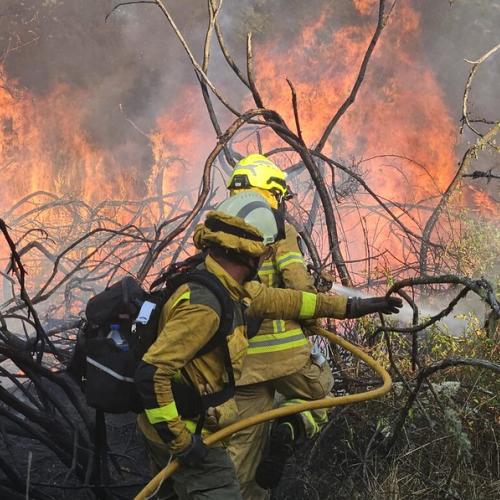 In early August, a team of Dutch firefighters, who were strategically prepositioned in northwestern Spain via the EU Civil Protection Mechanism, quickly joined a firefighting operation around Pontevedra and helped contain a fire.