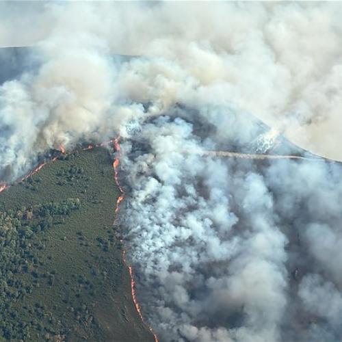 Between 8 and 19 August, the estimated total burnt area in both Portugal and Spain is over 500.000 hectares according to EFFIS.     This is approximately double the average burnt area until mid-August in the EU between 2006 and 2024 and almost twice the size of Luxembourg.   