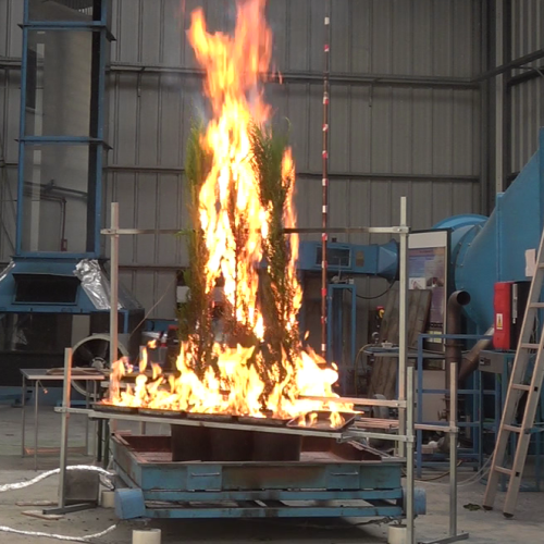  A full-scale fire test of the Cupressus arizonica as part of the WUIVIEW project