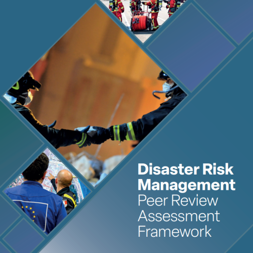 Disaster Risk Management Peer Review Assessment Framework logo
