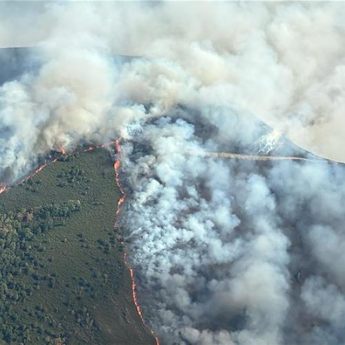 ''As a Canadair Captain, I see the EU Civil Protection Mechanism as essential to successful cross-border firefighting missions. It enables genuine mutual solidarity, allowing countries to support one another when resources are stretched. The challenges we face are growing — and only together can we overcome them.''