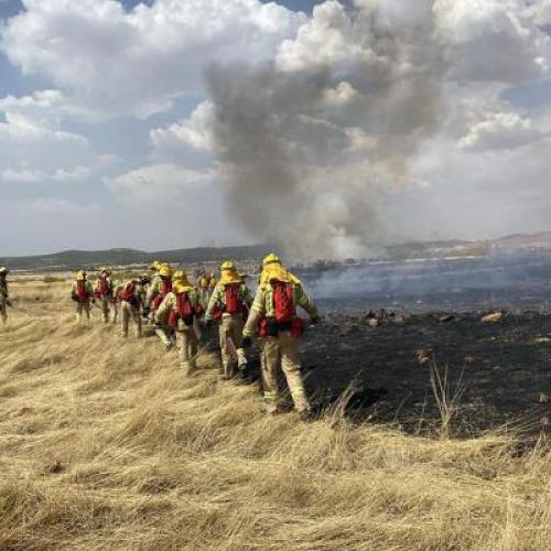 A group of firefighters during an exercise.