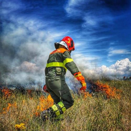 firefighters