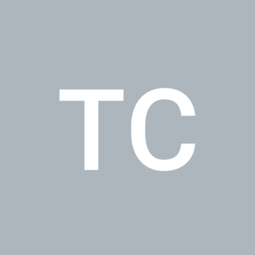 Teodora Adela COSTIN