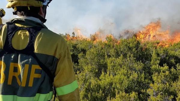 UCPM Peer Review Programme