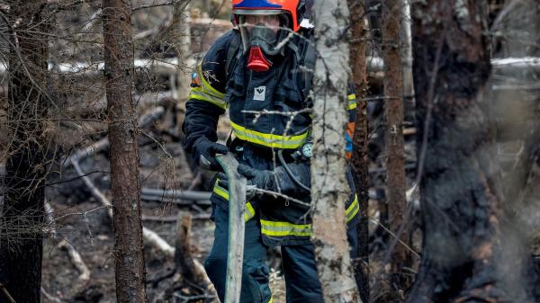 UCPM Peer Reviews call