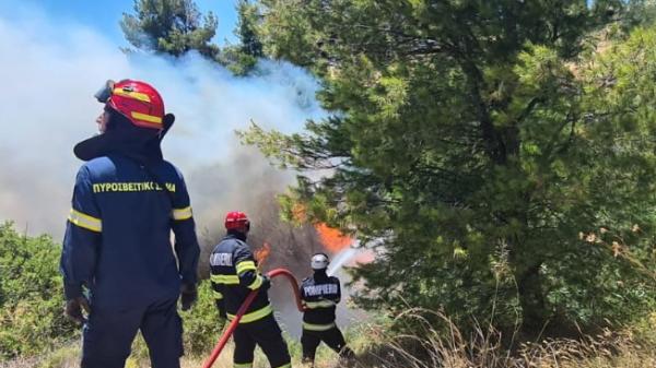 Romanian firefighters during a forest fire in Porto Germano