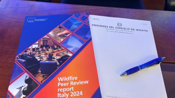 Wildfire Peer Review Report Italy 2024.