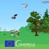 Graphic design of the Workshop on Copernicus for Forestry
