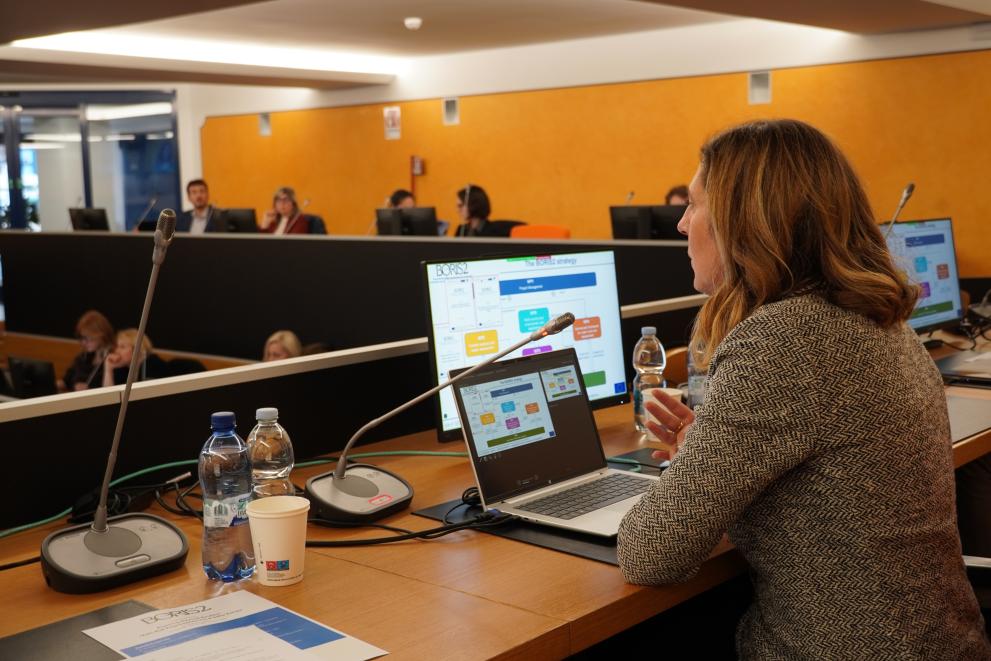 BORIS2 Final Conference