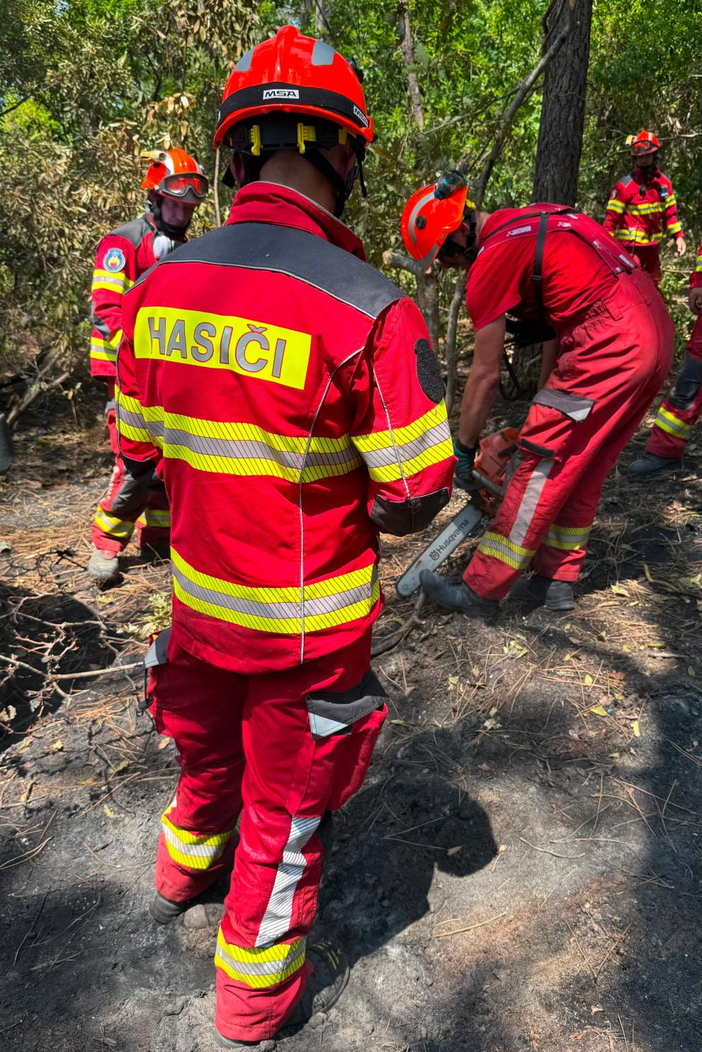 Slovakia's experience in strengthening wildfire preparedness 