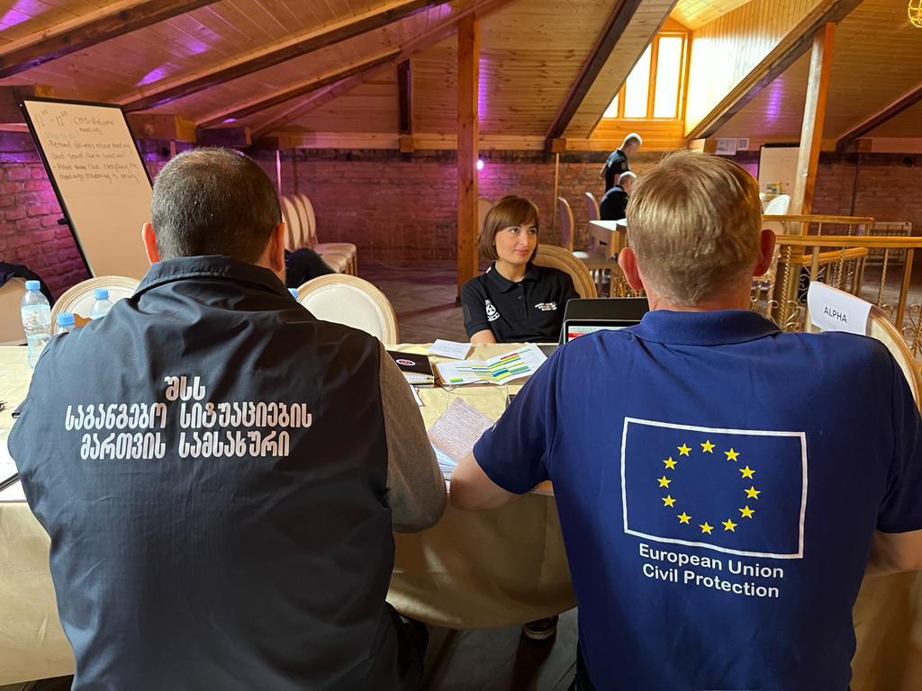 One of the three excon cells