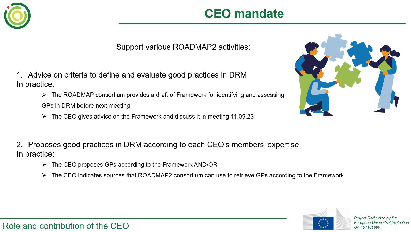 CEO mandate