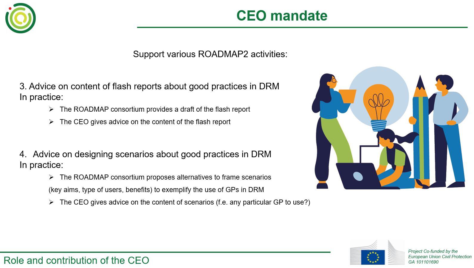 CEO mandate