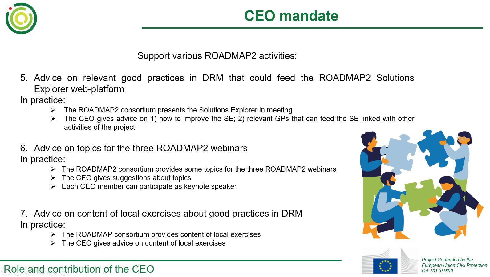CEO mandate