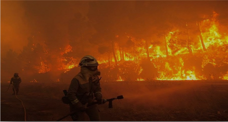 burning forest and firemen