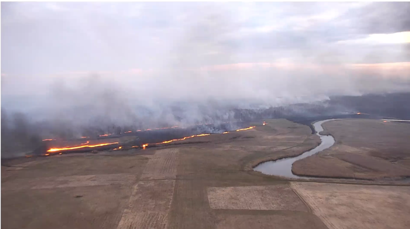 Biebrza Forest Fire 2020