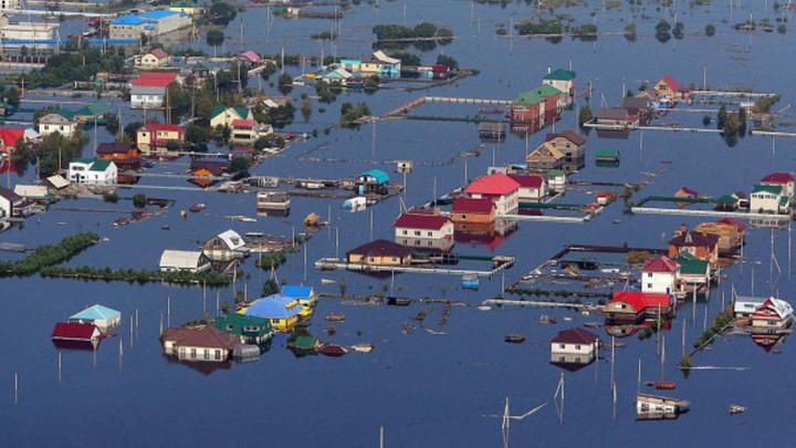 © RIA Novosti . Sergei Mamontov